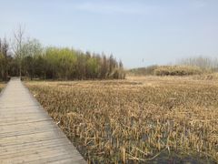 -溱湖国家湿地公园