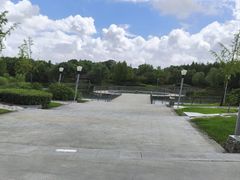 -贡湖湾湿地公园
