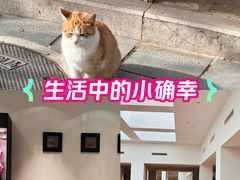 -北京颐和宾馆