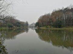 -新江湾城公园