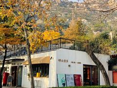 -青岛崂山太清宫