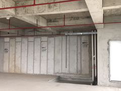 上汤鲜虾云吞面-晶荷轩(香港迪士尼乐园酒店)