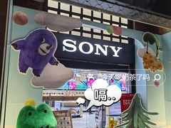 -Sony Store 索尼(上海淮海中路店)
