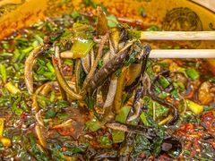 -乐山第一家临江鳝丝(茶坊路店)