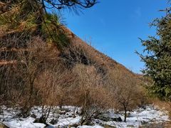 -少华山国家森林公园