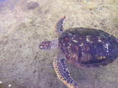 -鸿通城购物中心