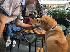 -81BAKERY(大学路店)
