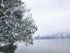 -团城山公园