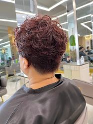 -潘多拉Hairsalon