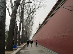 -菖蒲河公园