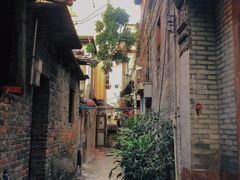 -长洲岛