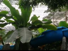 -龙脉温泉室内游泳馆
