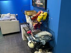 -浣熊部落ps4 ps5 switch 电玩(茶店子店)