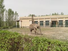 -哈尔滨北方森林动物园