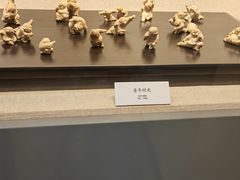 -浙江省博物馆(孤山馆区)