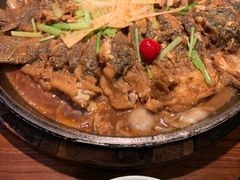 -老板恋上鱼(荣盛广场店)