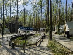 -合肥滨湖国家森林公园