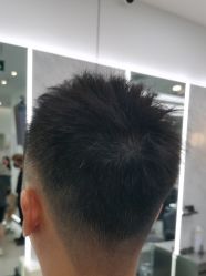 -YESIDO椰岛造型