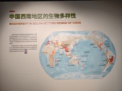 -四川大学博物馆
