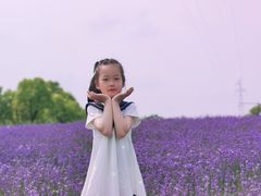 -菊园百果园