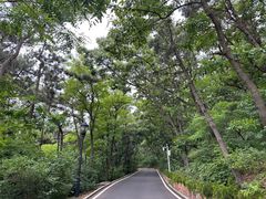 -棒棰岛宾馆景区