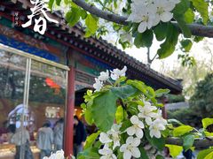 -恭王府博物馆