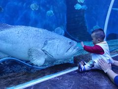 -多彩贵州城极地海洋世界