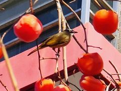 -东亿天弘演播大厅