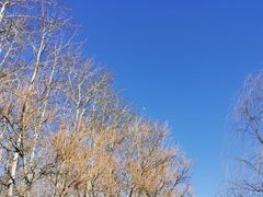 -马家湾湿地公园