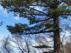 -白草畔自然风景区