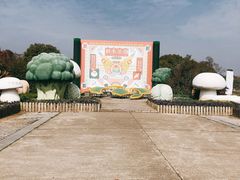 -上海都市菜园