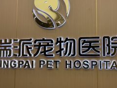-瑞派康怡24h宠物医院·犬猫医疗中心·微创绝育(瑞景分院)
