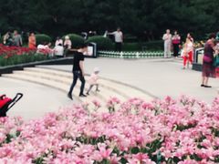 -长春公园(普阳街道)