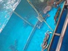 -麦德龙(湖里店)