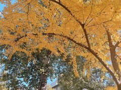 -君庭中餐厅(友谊宾馆店)