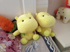 -大玩家(中原万达广场店)