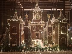 -嘉定凯悦·咖啡厅