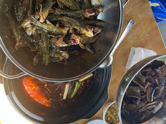 -金海椒罐罐鲢鱼(东方桂苑店)