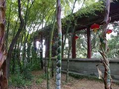 -李时珍纪念馆