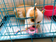 -联合动物医院(光谷诊疗中心)