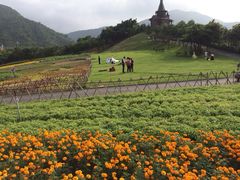 iphone_upload_pic-东部华侨城