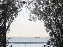 -上海吴淞炮台湾国家湿地公园
