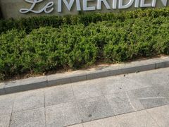 -青岛富力艾美酒店