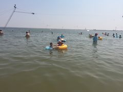 -碧海金沙