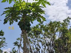 -福建鲤鱼洲酒店