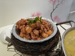 鸡里蹦-丁老爷子苏香圆