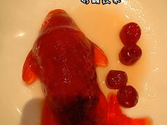 -紫光园烤鸭(前门大栅栏店)