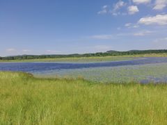 -塞罕坝国家级自然保护区