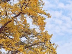 -金堂县云顶石城风景区