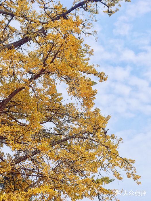 金堂县云顶石城风景区图片